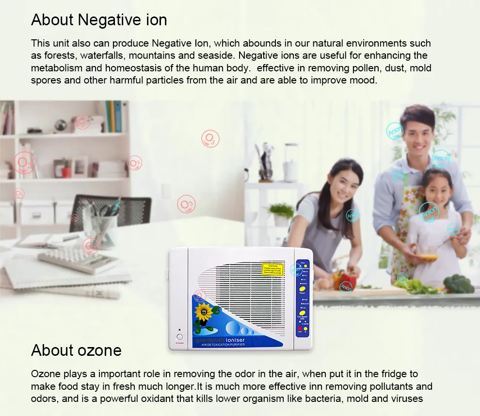 China Manufacturer Negative Anoin&Ozone&HEPA Air Purifier