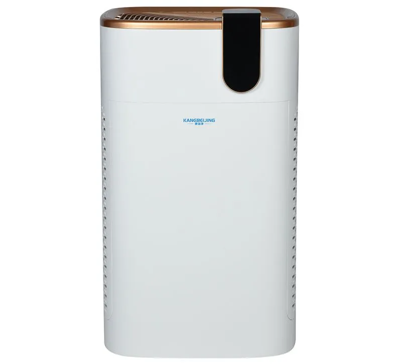 Kj-15ba Disinfector: Active Plasma, Smart Management, Clinics, HEPA, ISO/CE