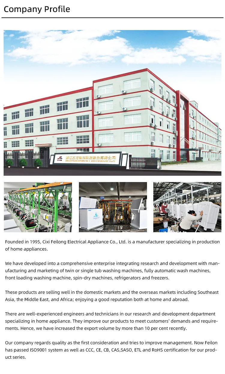 Xpb130-2009sk Twin Tub Washing Machine 13kg Capacity Air Dry Top Loading