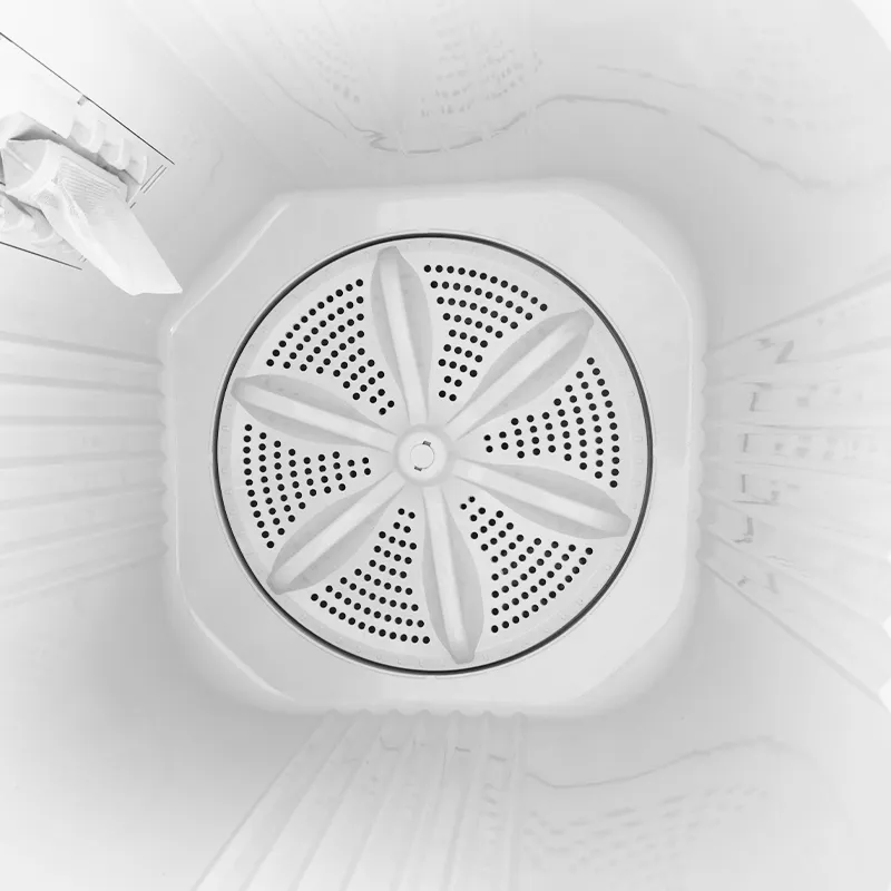 8kg Home Use Top Loading Twin Tub Mini Portable Washing Machine