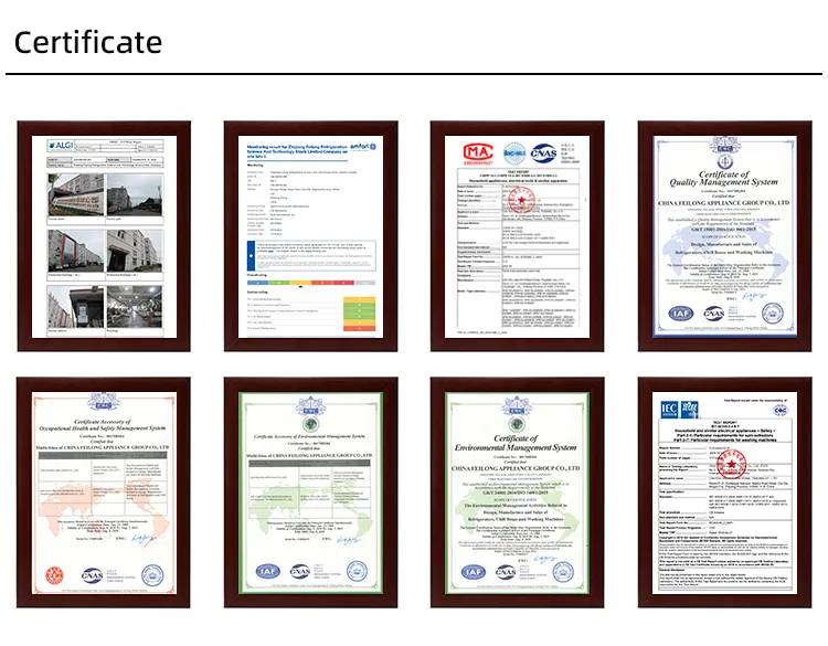 Xpb200-2009sva Twin Tub Washing Machine 20kg Capacity Air Dry Top Loading Mini Portable Semi-Automatic