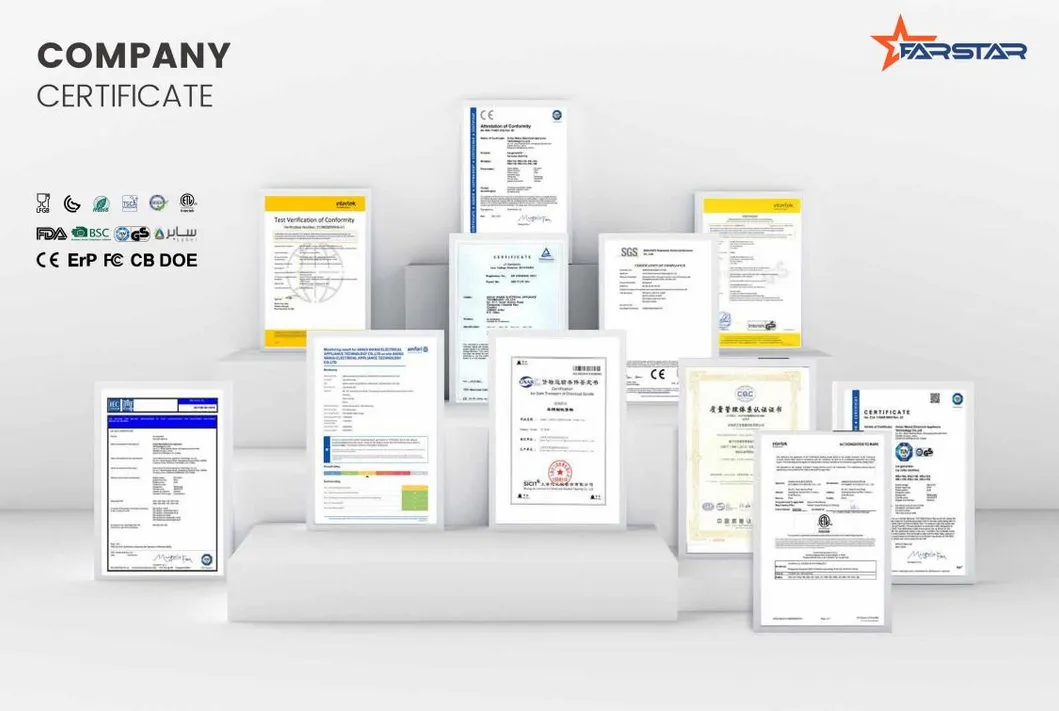 Xqb80-8088-T608 Washing Machine Small Top Loading with Fully Automatic Function