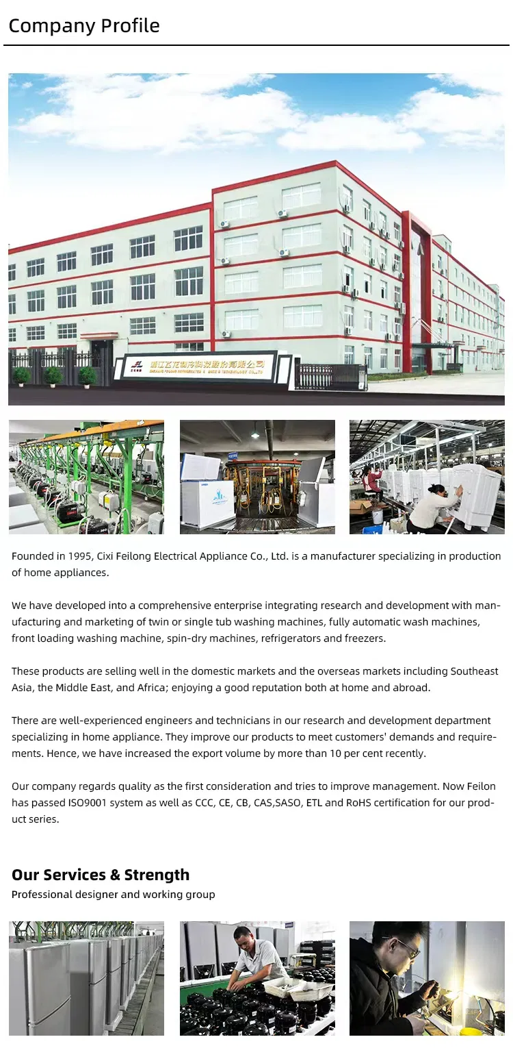 17kg Top Loading Semi Automatic Electric Manual Twin Tub Home Washing Machine with Dryer