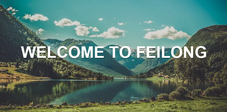 17kg Top Loading Semi Automatic Electric Manual Twin Tub Home Washing Machine with Dryer