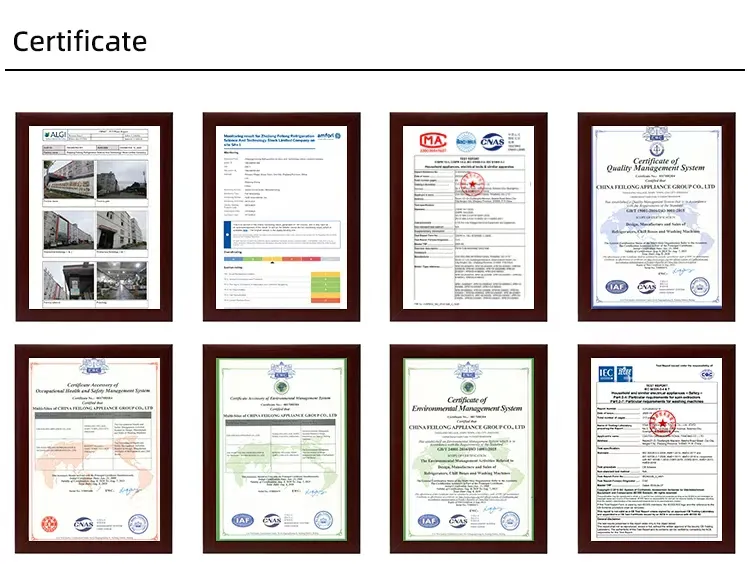 17kg Top Loading Semi Automatic Electric Manual Twin Tub Home Washing Machine with Dryer