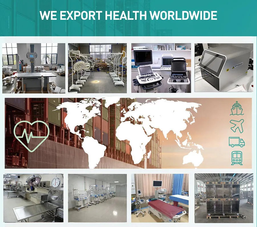 Medical Hot Selling Veterinary Vet Clinic Polular Pet Dryer