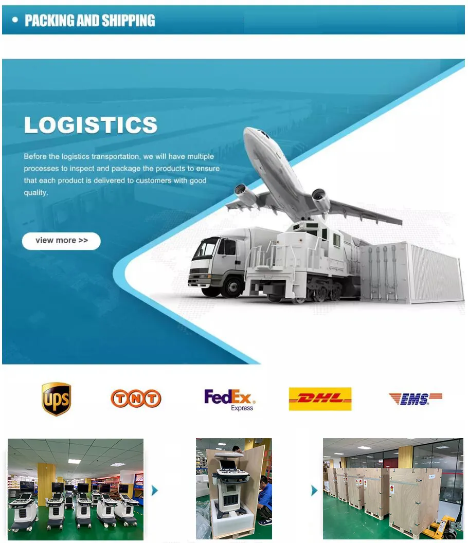 Medical Hot Selling Veterinary Vet Clinic Polular Pet Dryer