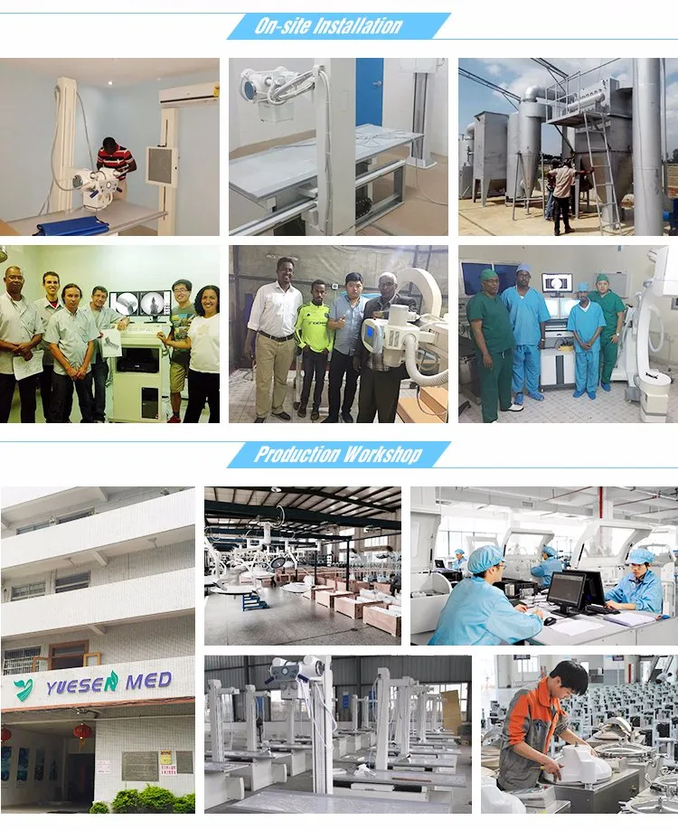 Hospital Equipment Pet Blower Veterinary Dryer Grooming Equipment Pet Hair Dryer