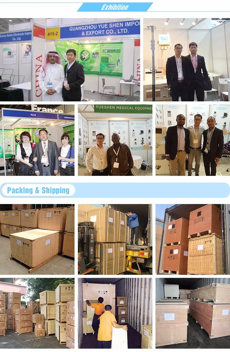 Hospital Equipment Pet Blower Veterinary Dryer Grooming Equipment Pet Hair Dryer