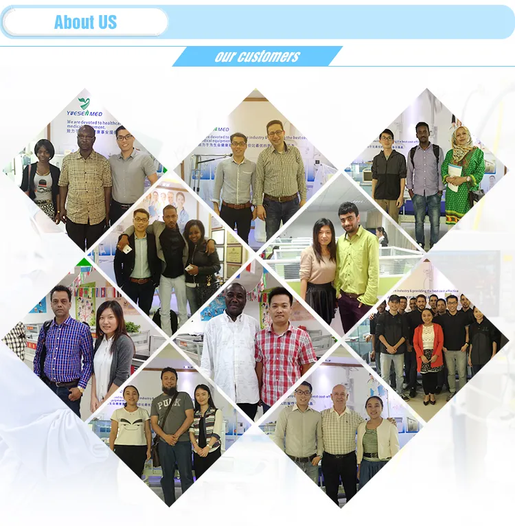 Hospital Equipment Pet Blower Veterinary Dryer Grooming Equipment Pet Hair Dryer