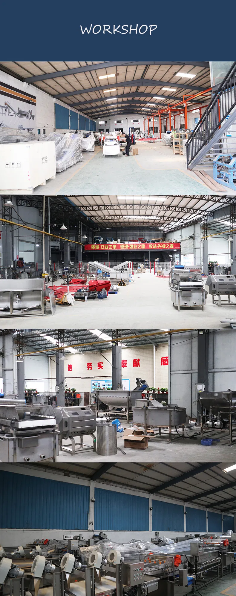 Premium Automatic Meat and Vegetable Dehydrator Machine for Home Use