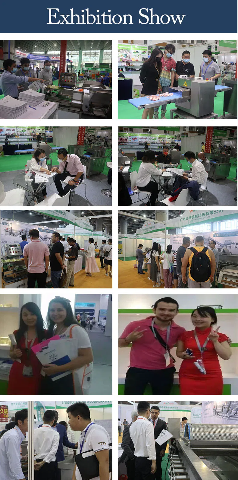 Premium Automatic Meat and Vegetable Dehydrator Machine for Home Use