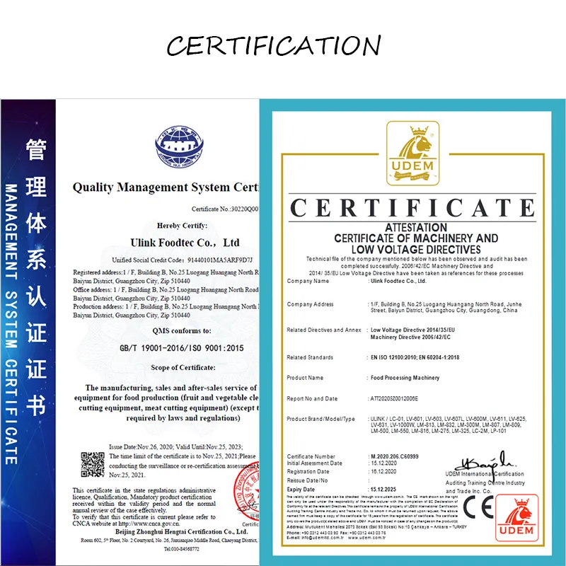 Premium Automatic Meat and Vegetable Dehydrator Machine for Home Use