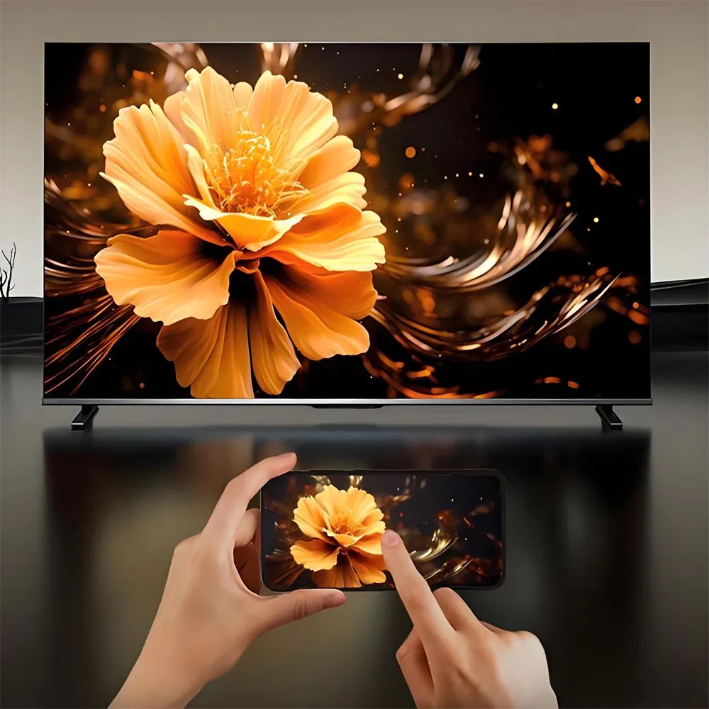 Video LCD LED Display TV 12V AC/DC TV with Low Electricity Consumption DVB T2 S2 Digital Satellite TV