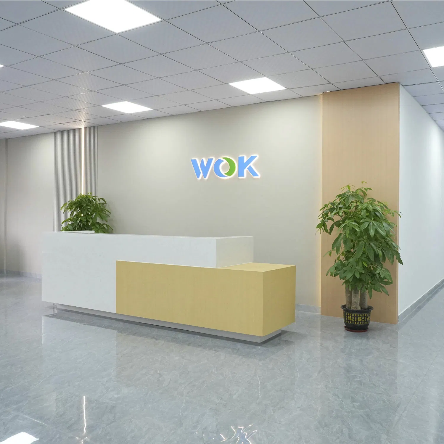 Modern Design Panel Heater for Quick and Even Heat Distribution