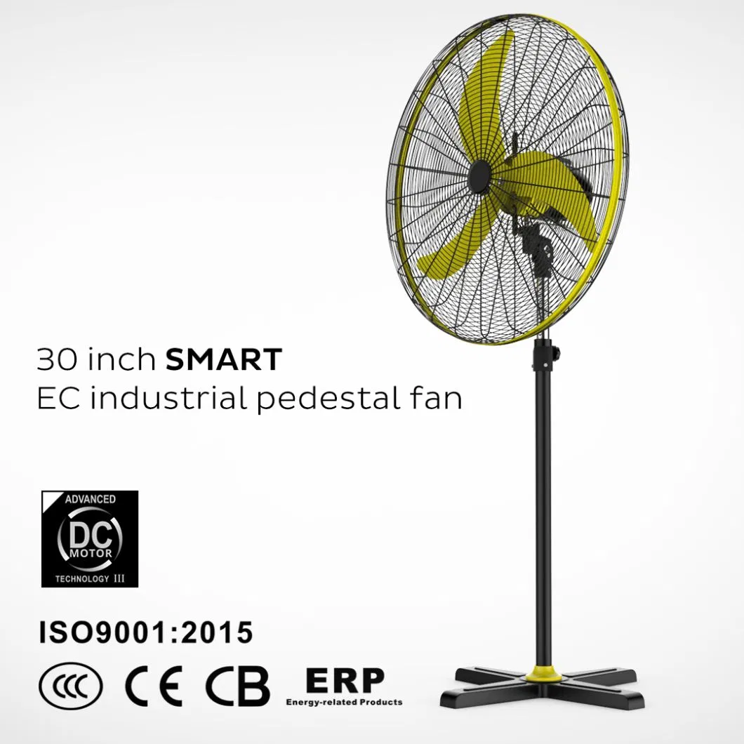 20 24 26 30 Inch High Air Volume Oscillation Ventilation Warehouse Wall DC Brushless Motor Energy Saving Electric Industrial Stand Fan