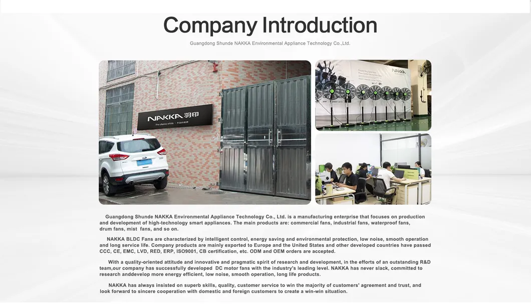 20 24 26 30 Inch High Air Volume Oscillation Ventilation Warehouse Wall DC Brushless Motor Energy Saving Electric Industrial Stand Fan