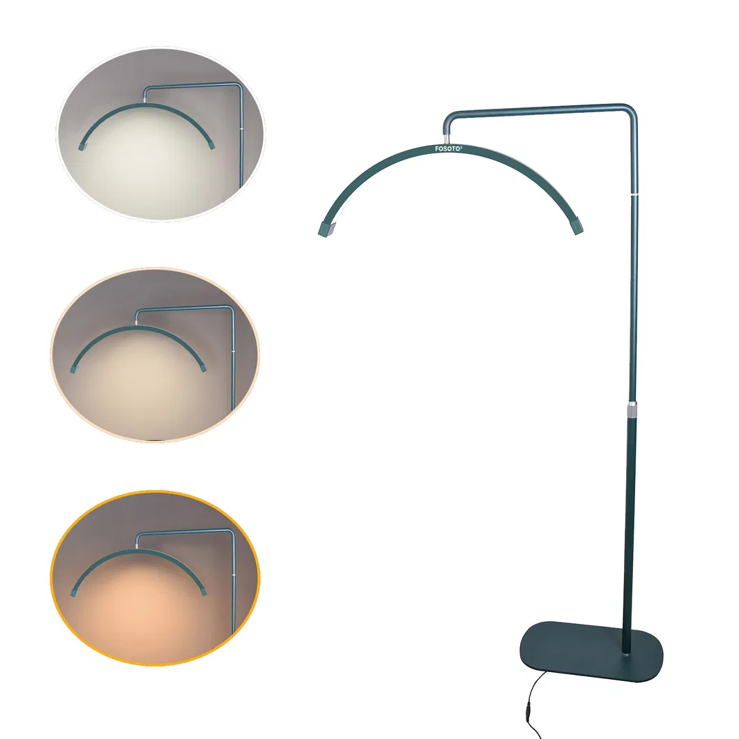 Half Moon Salon LED Photography Floor Lamp for Makeup Lashes Extension Tattoo