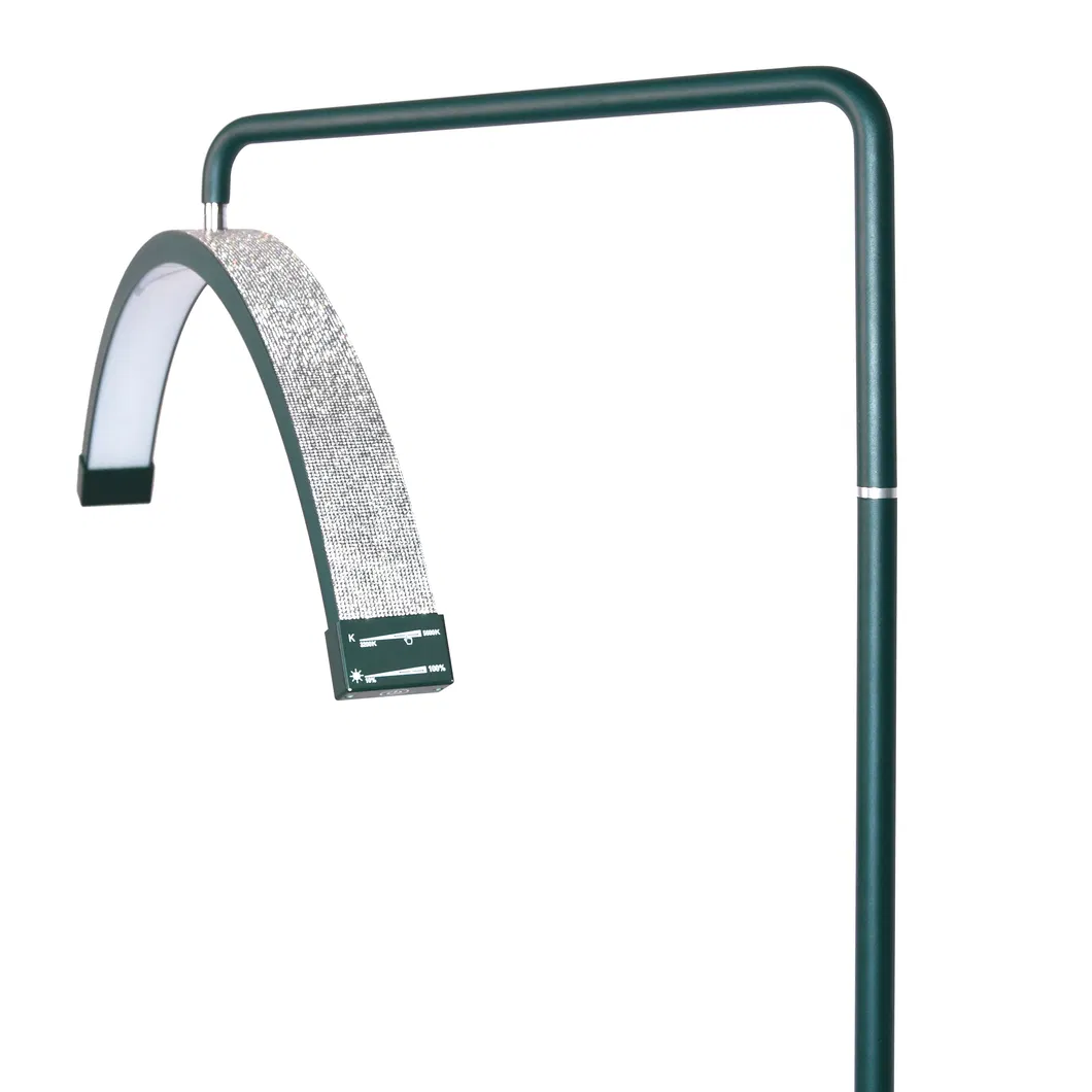 Half Moon Salon LED Photography Floor Lamp for Makeup Lashes Extension Tattoo