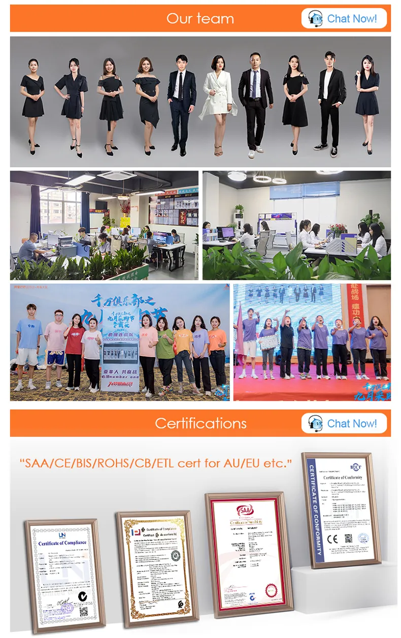 Modern Light LED Standing Ostrich Luxury Modern LED Corner Feather Floor Lamp