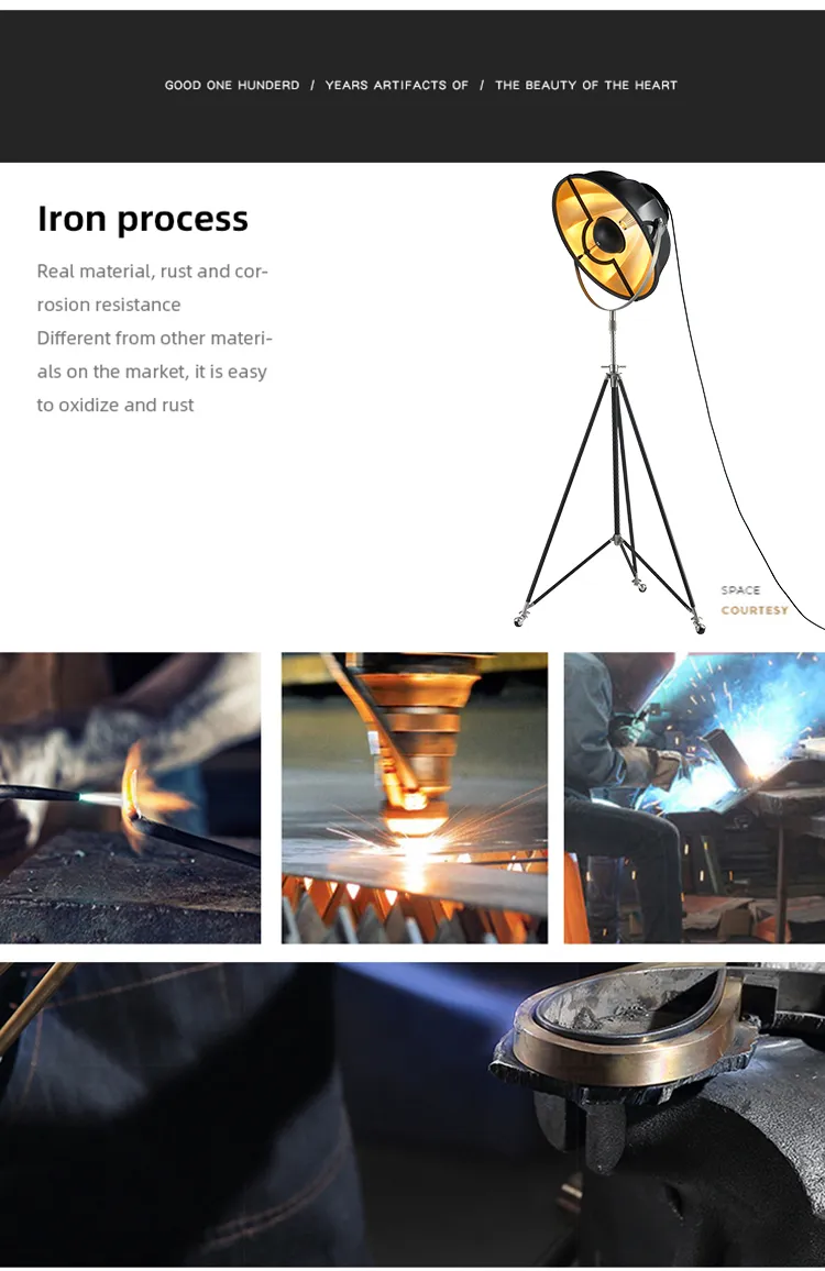 Modern Floor Light Outside Black LED Floor Lamp for Home Bedside Living