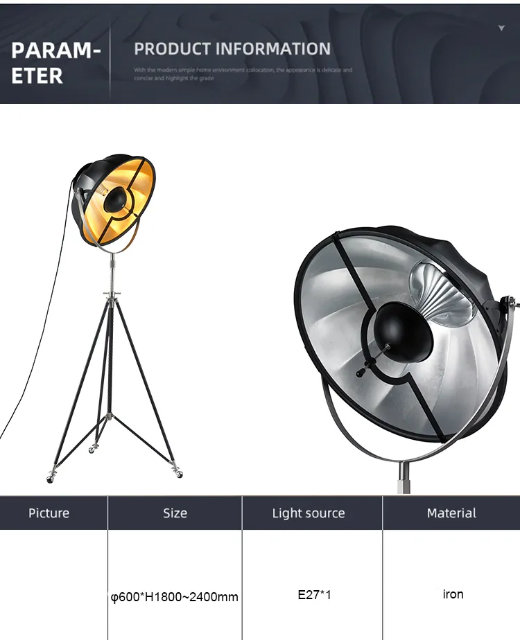 Modern Floor Light Outside Black LED Floor Lamp for Home Bedside Living