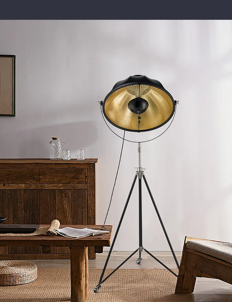 Modern Floor Light Outside Black LED Floor Lamp for Home Bedside Living