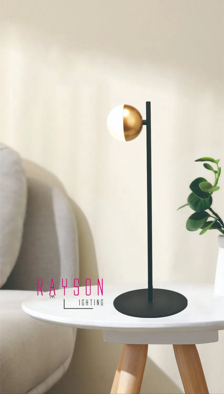 Modern Decorative Aluminium LED Table Lamp (RB-HL0105-1T)