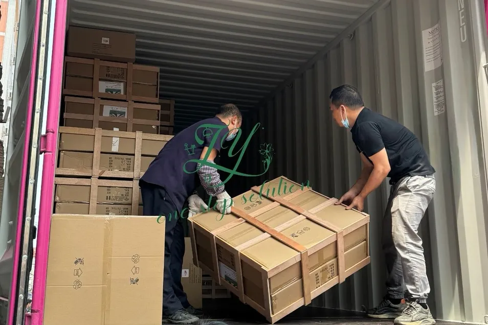 Zy Custom Elegant Aluminum Acrylic Wall Lamp with Rotatable Head Hotel Restaurant