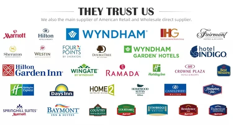 Holiday Inn Opal Matte Acrylic Corridor Hospitality Wall Sconce Light LED 12W Brushed Nickel Hotel Lamp