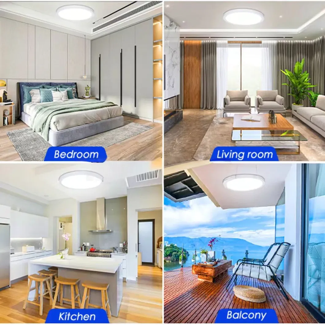 Factory Price 24W LED Ceiling Light Home Office Lighting Microwave Sensor