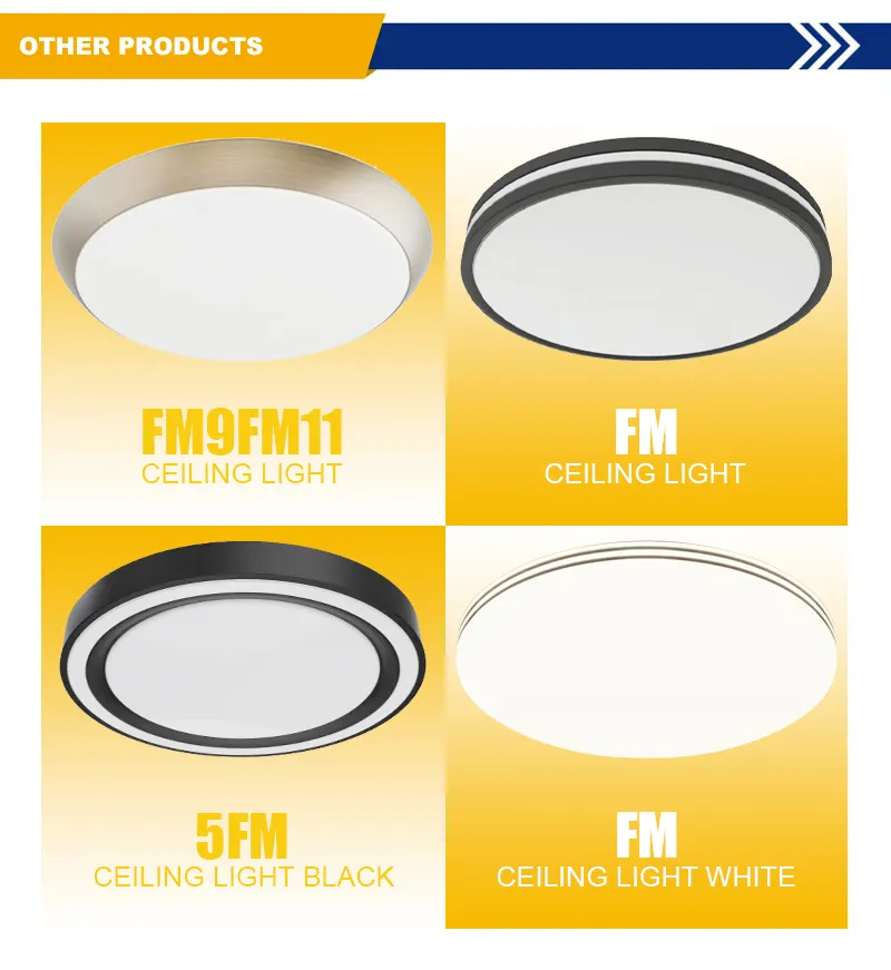 Factory Price 24W LED Ceiling Light Home Office Lighting Microwave Sensor