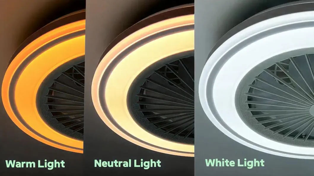 RGB Lighting 3CCT Dimmable 2.4G Remote Control Surface Smart Ceiling Fan Light