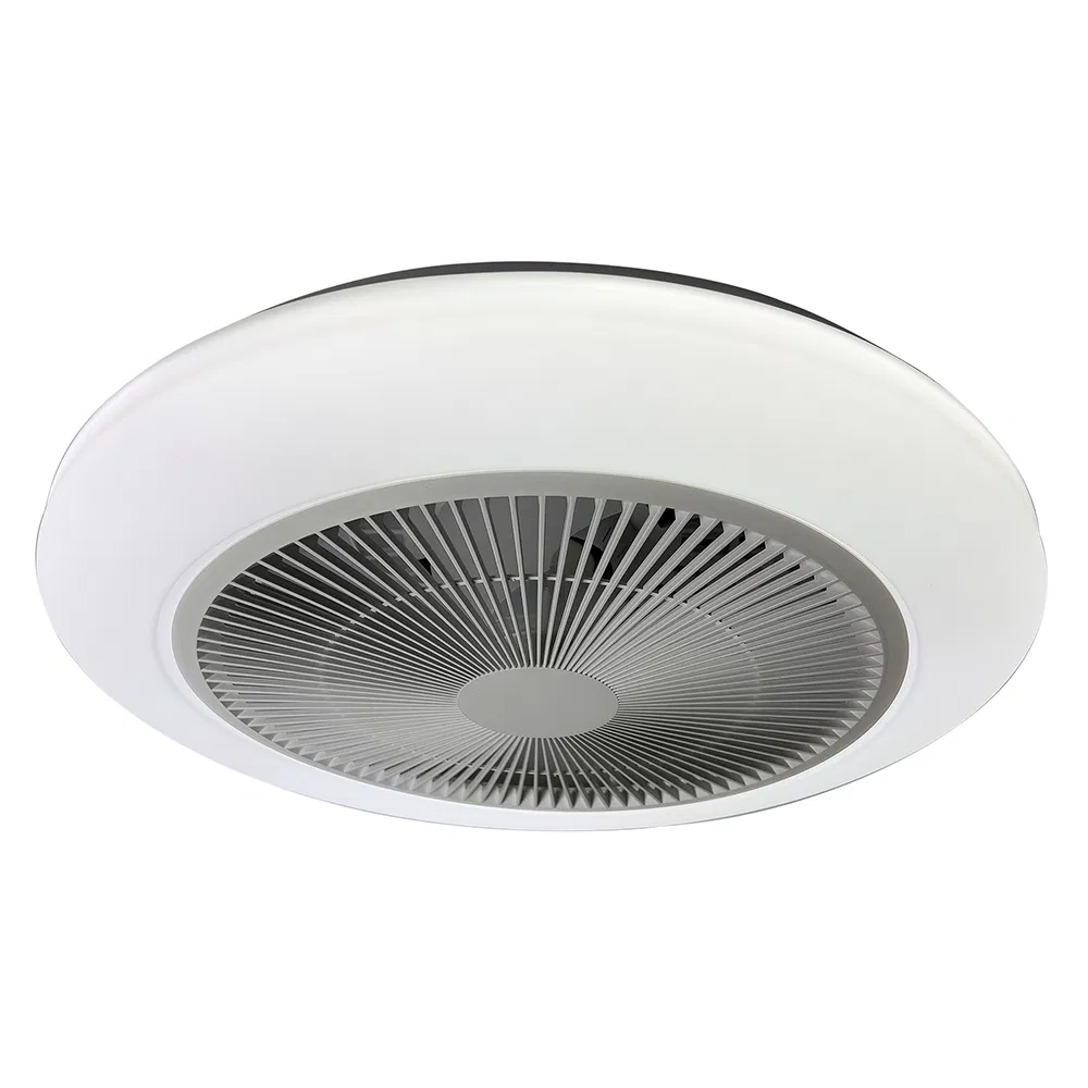 RGB Lighting 3CCT Dimmable 2.4G Remote Control Surface Smart Ceiling Fan Light