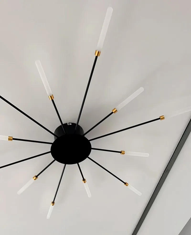 Wholesale Creative Fireworks Modern Acrylic LED Ceiling Lamp Restaurant Bedroom Gold Acrylic Surface Mounted Ceiling Light Fixture (ZY-X001)