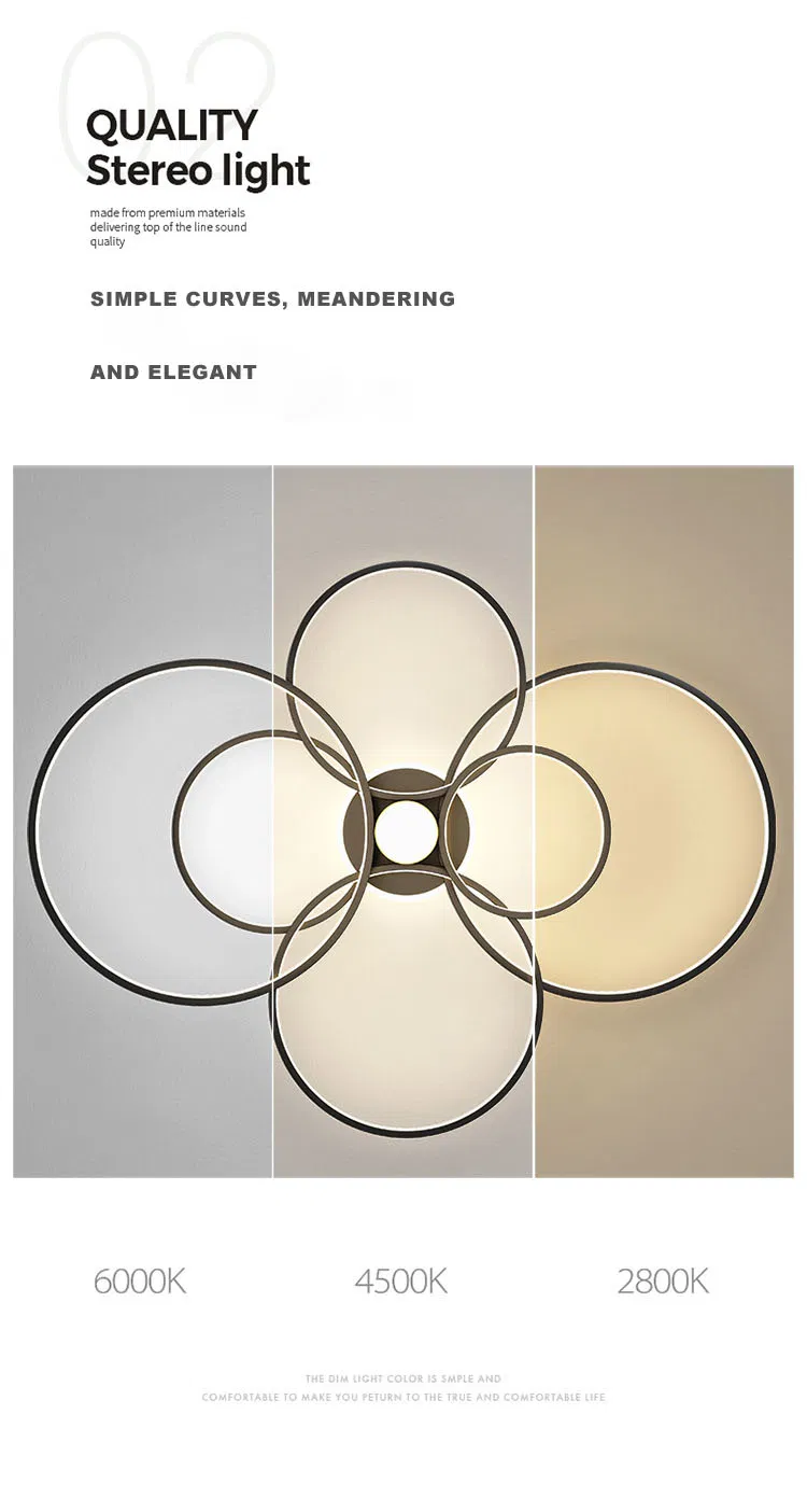 Modern Minimalist Ceiling Light Luxury Living Room LED Ceiling Lamp