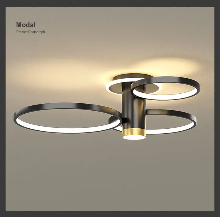 Modern Minimalist Ceiling Light Luxury Living Room LED Ceiling Lamp