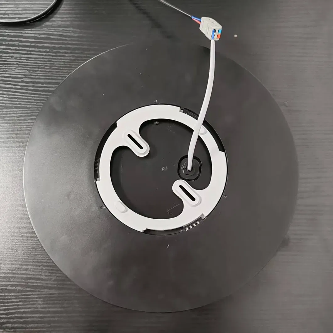 Hot Sell LED Morden Ceiling Light 22W AC 220V 6500K for Room