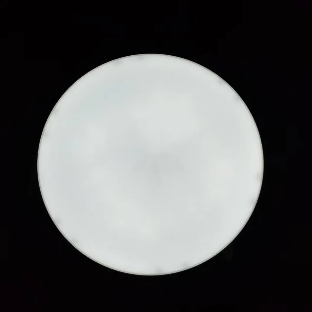 Hot Sell LED Morden Ceiling Light 22W AC 220V 6500K for Room