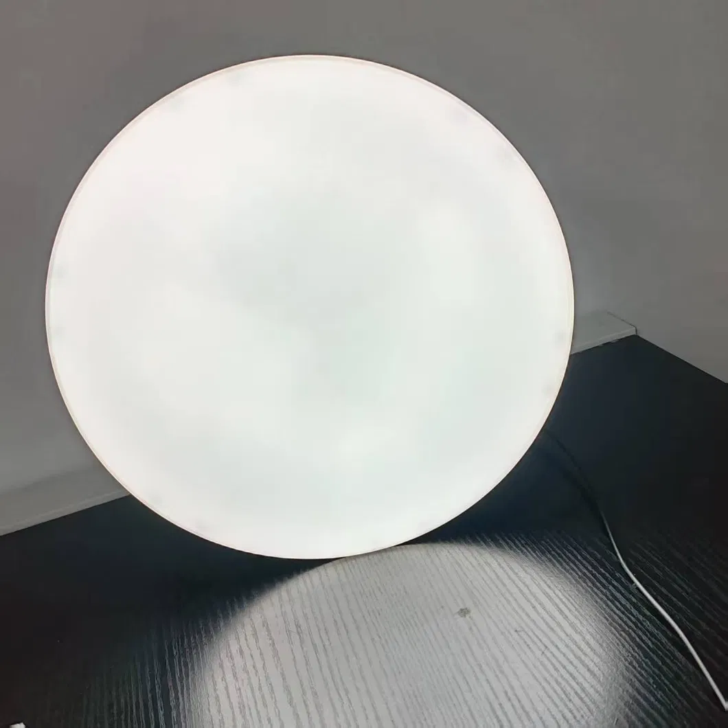 Hot Sell LED Morden Ceiling Light 22W AC 220V 6500K for Room