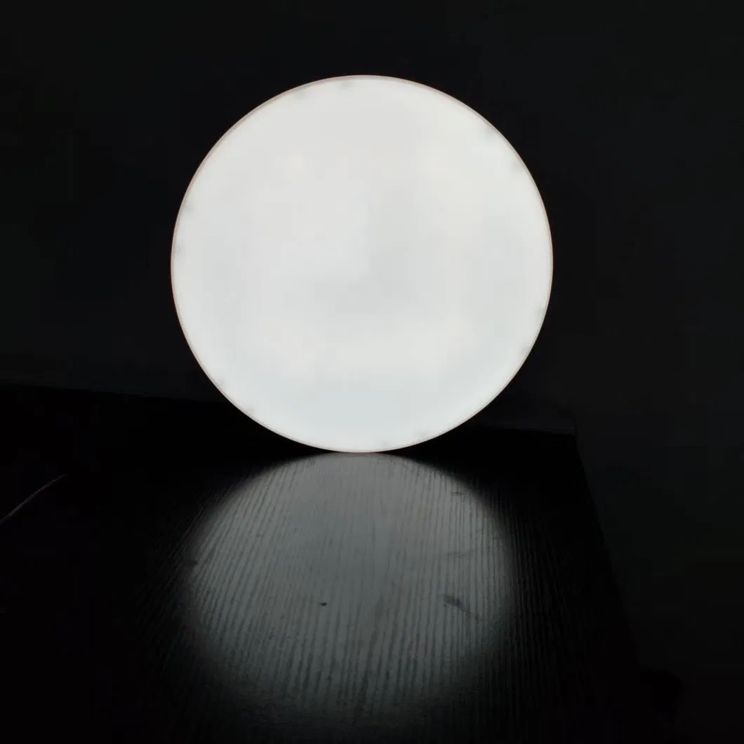 Hot Sell LED Morden Ceiling Light 22W AC 220V 6500K for Room