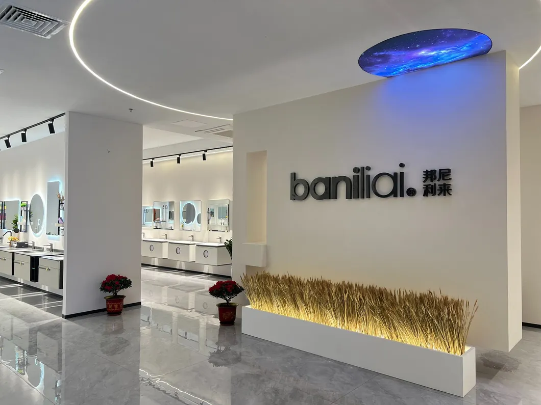 Premium 2mm Thick Waterproof Stainless Steel Bathroom Storage Cabinet