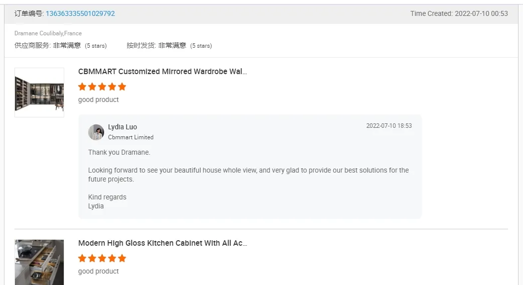 Cbmmart High End Shaker Solid Wood 5FT Plywood Sintered Stone Bathroom Vanity