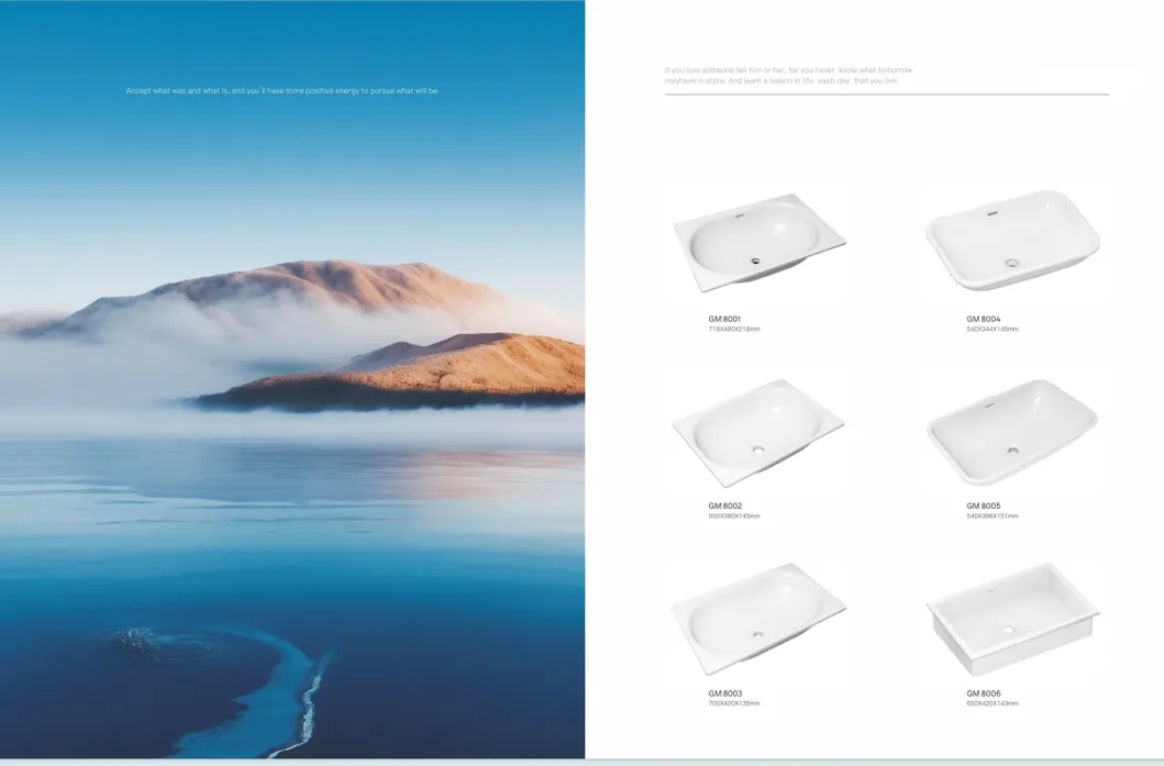 Acrylic Wash Basin for Kitchen Sink Vanity