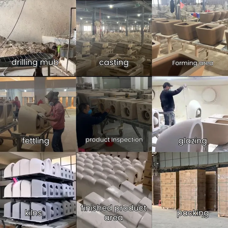 Bravo Bathroom Toilet Ceramic Wall-Hung Toilet Sanitary Ware