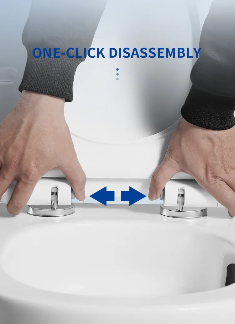 Bravo Bathroom Toilet Ceramic Wall-Hung Toilet Sanitary Ware