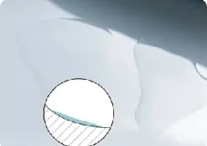 Bravo Bathroom Toilet Ceramic Wall-Hung Toilet Sanitary Ware