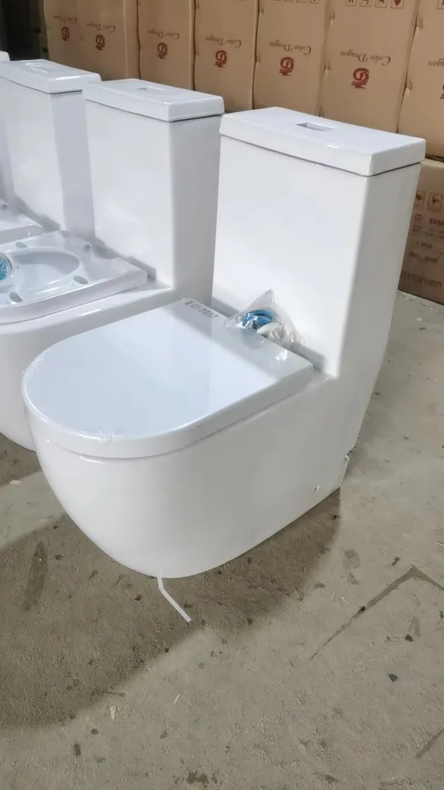 Elegant Two Piece Ceramic Toilet for Stylish Apartment Bathroom Spaces