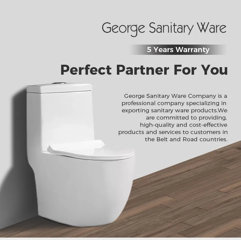 Elegant Two Piece Ceramic Toilet for Stylish Apartment Bathroom Spaces
