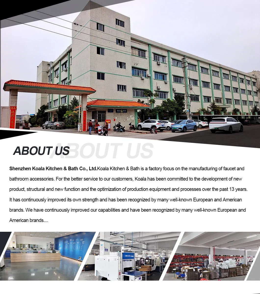 Commercial Brass Pull Down Kitchen Faucet with Elegant Design